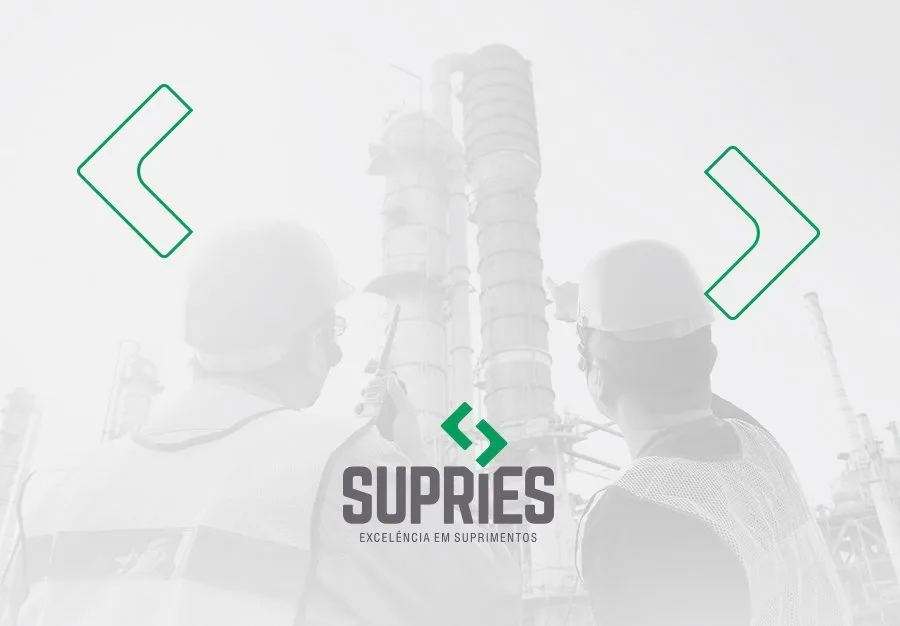 SUPRIES – imagem 3